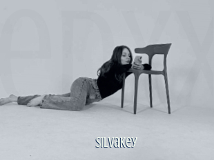 Silvakey