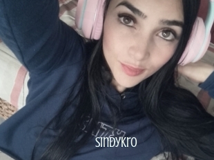 Sindykro