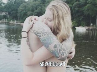 Skyebugger
