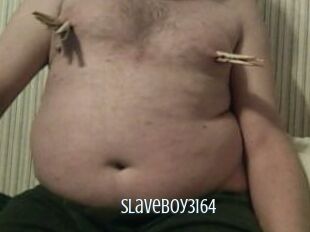 Slaveboy3164