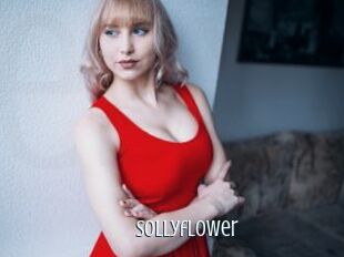 Sollyflower