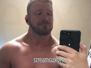 Streamguy8895