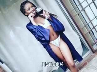 TINY20004