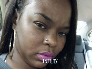 T_N_Ttiny