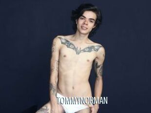TOMMYNORMAN Edonkey xxx