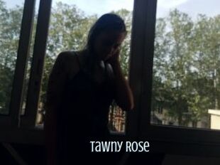Tawny_Rose