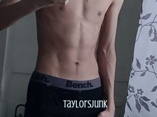 TaylorsJunk