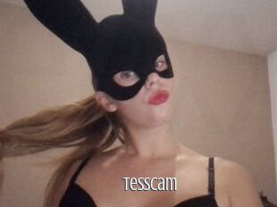 Tesscam