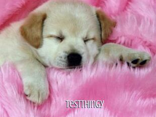 TestThingy