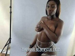 TheRealBlackStallion