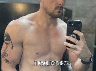 TheSolidSnake23