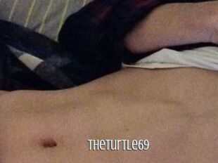 TheTurtle69
