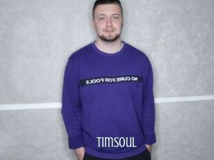 TimSoul