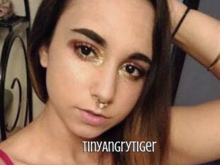 TinyAngryTiger