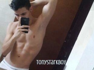 TonyStarkBoy
