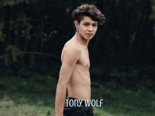 Tony_wolf