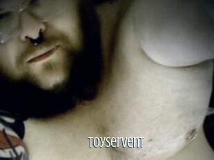 Toyservent