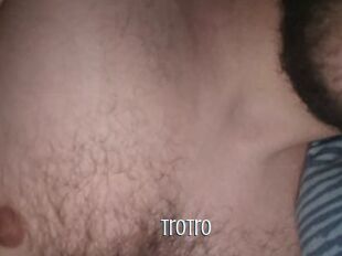 Trotro