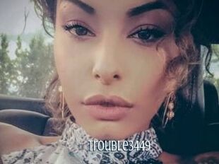 Trouble3449
