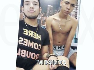 Twinksbigdick
