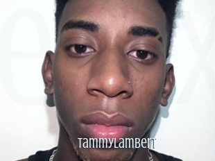 Tammylambert