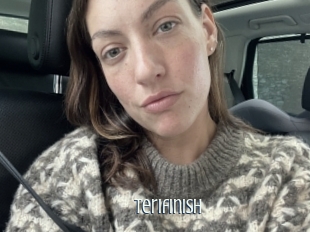 Terifinish