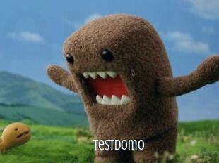 Testdomo