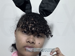 Thatbimbobunny