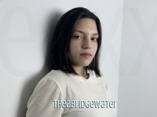 Theabridgewater