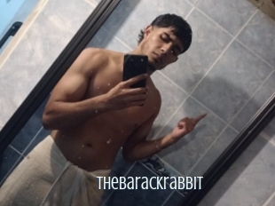 Thebarackrabbit