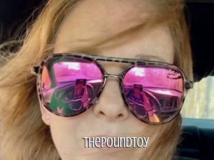 Thepoundtoy