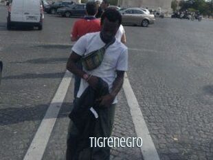 Tigrenegro