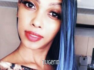 Tijgerin