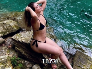 Tina520