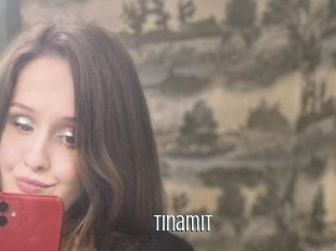 Tinamit
