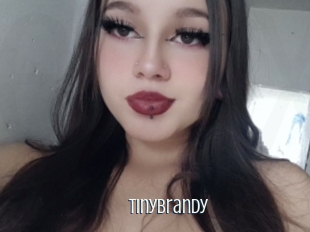 Tinybrandy