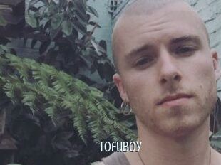 Tofu_boy