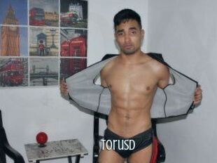 Torusd
