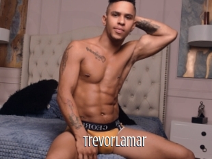 Trevorlamar