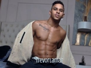 Trevorlamar