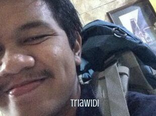 Triawidi