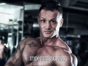 Tridentmuscles4u