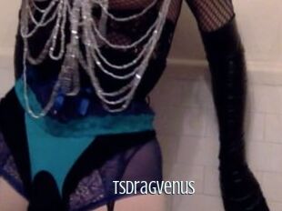 tsdragvenus Edonkey xxx
