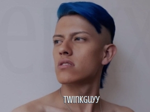 Twinkguyy