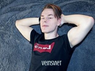 VeinsViet