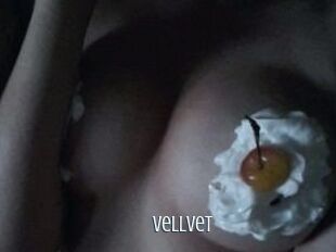 Vellvet