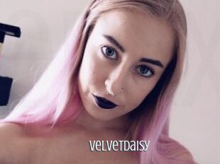 VelvetDaisy
