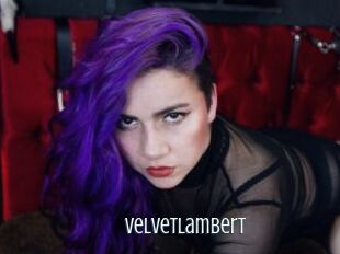VelvetLambert