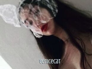 VeniceCat