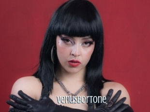 VenusBortone